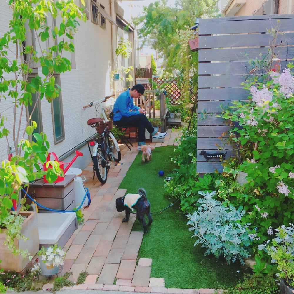 ガーデン雑貨の投稿画像 By Risaさん シンボルツリーと人工芝とウッドフェンスとナチュラルアンティークと自己流とナチュラルスタイルと手づくりの庭とガーデニングと花のある暮らしとジャンクガーデンとig Risa6100と外構 18月4月22日 Greensnap グリーン