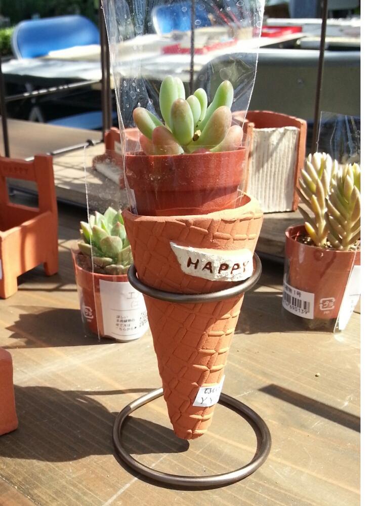 陶芸体験の投稿画像 By Tsukiさん 手作り鉢とテラコッタとアイスコーン形鉢とお誘いとミニ鉢と素焼き鉢とハンドメイド鉢 と月の手しごととゆるキャラ倶楽部と手作りテラコッタとテラコッタ陶芸とつるみ園芸とテラコッタ鉢とワークショップ と小さな鉢と夏休みテラコッタ