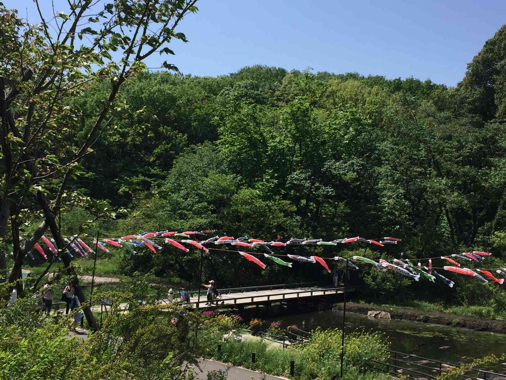 どんぐりさんの里山ガーデン（大花壇）への投稿