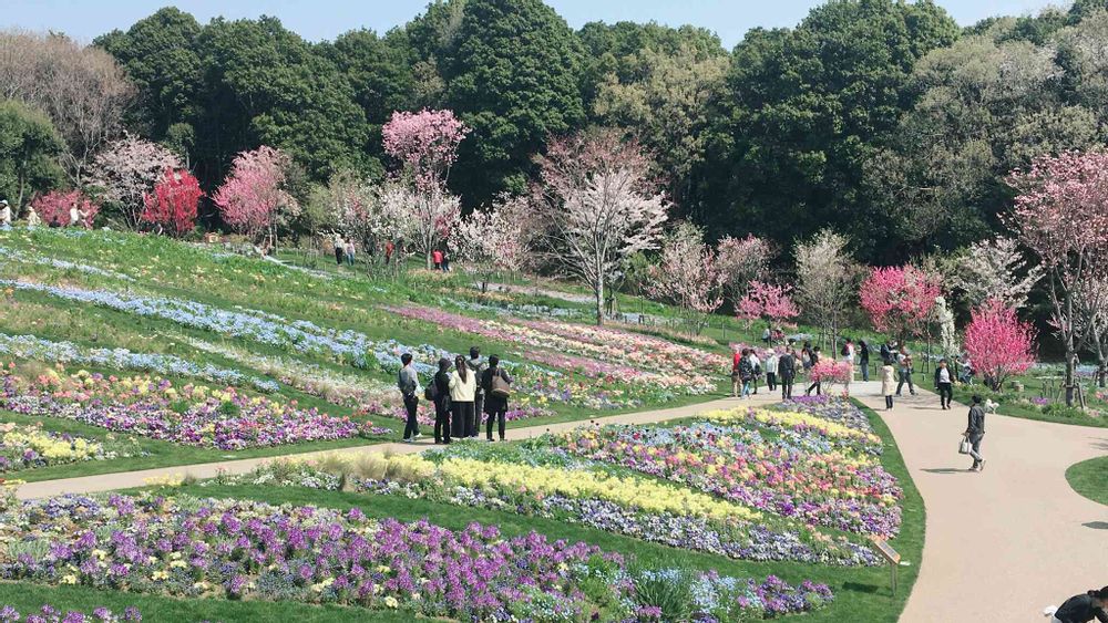 ガーデンベアさんの里山ガーデン（大花壇）への投稿