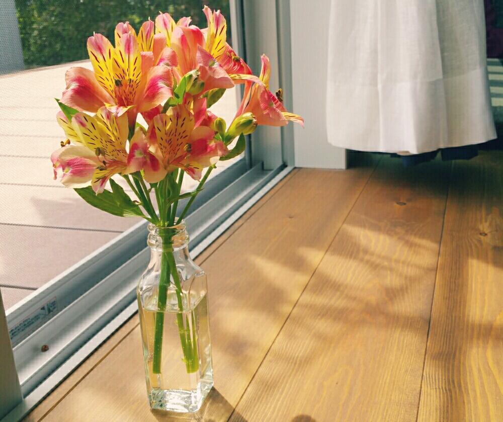 アルストロメリア花の投稿画像 By ブラックジンジャーさん 切り花と花のある暮らし 18月5月1日 Greensnap グリーンスナップ