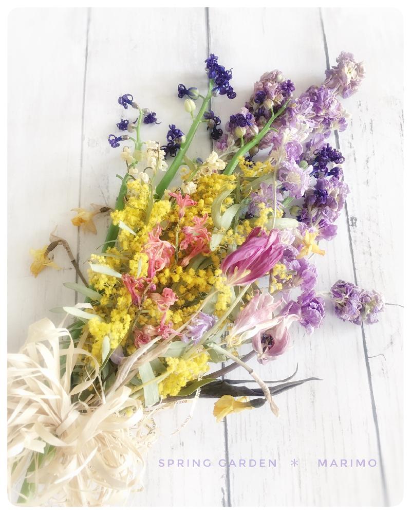 ドライフラワーの投稿画像 By マリモさん ピンクの花と朝の一枚と今日の一枚と今日のお花と花のある暮らしとバルコニストと 梅雨を彩るスワッグ ブーケ フォトコンとスワッグ 2018月5月1日 Greensnap グリーンスナップ
