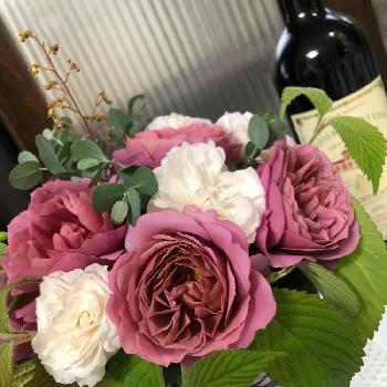 花見小路の投稿画像一覧 Greensnap グリーンスナップ