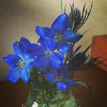 花のあるダイニングの画像 by しゅわしゅわさん | 部屋とデルフィニウム ミントブルーとエリンジュームと福岡市とブルーと食卓に花と癒しと美しいと花のある暮らしとブルーの花と花のあるダイニングとかわいいな♡