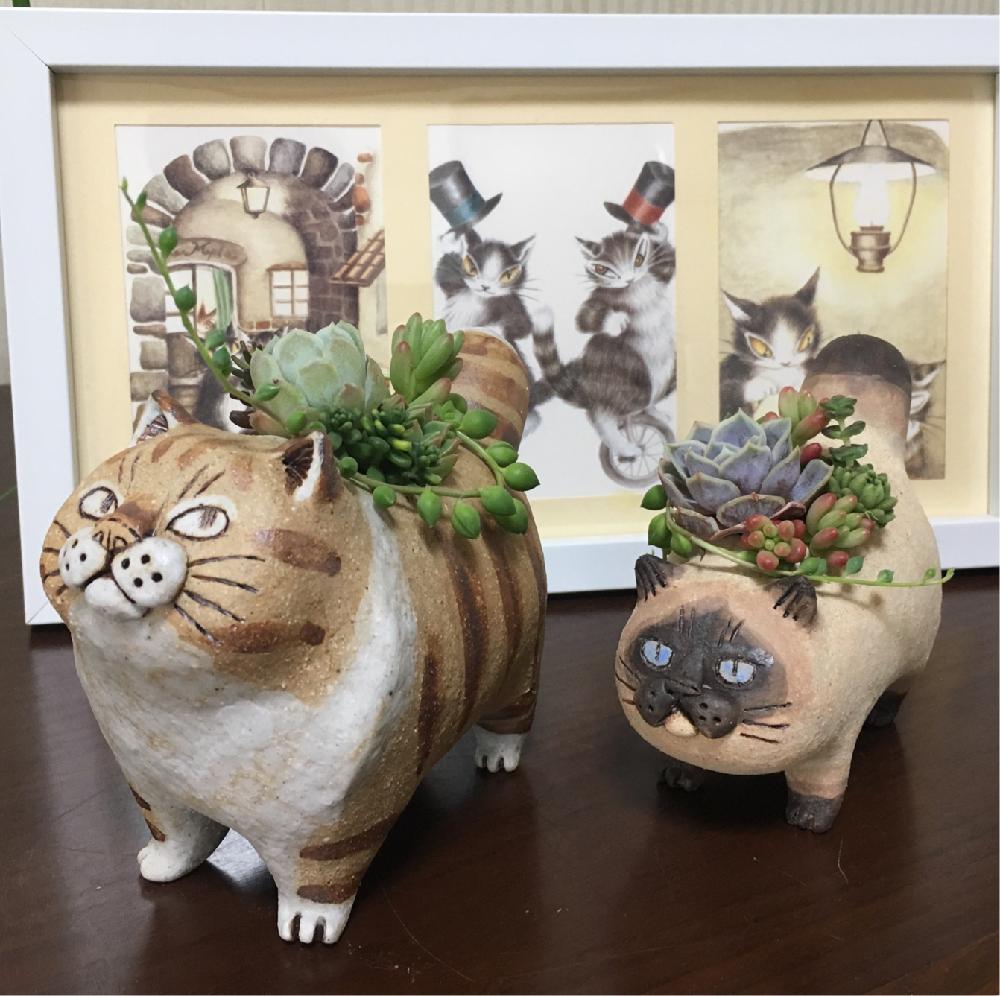 かとうゆみ　植木鉢2 かとうゆみ 植木鉢2