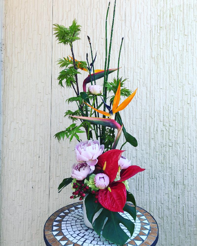 和風の投稿画像 By ラフィーニさん 埋めの門とあかぬけると洗練されたと唐津焼き物祭りと肥前町花屋とラフィーニ 18月5月3日 Greensnap グリーンスナップ