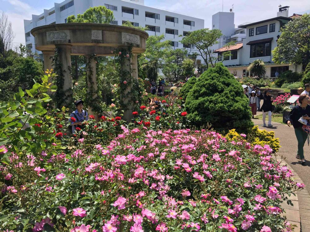 ガーデンベアさんの港の見える丘公園への投稿