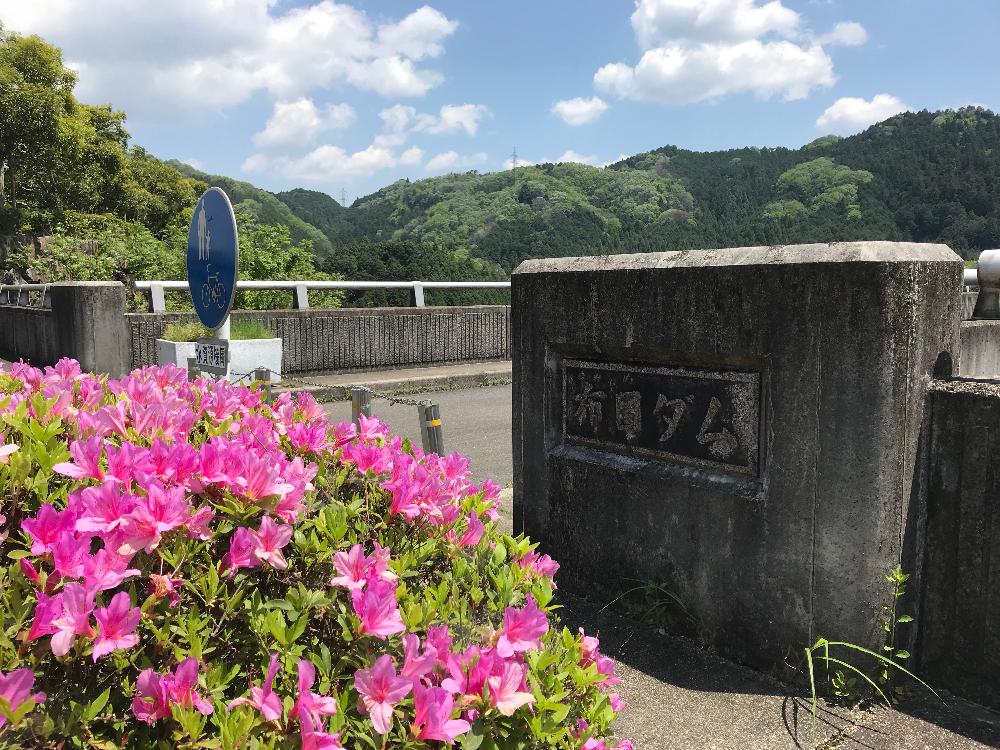 ゆみのすけさんの投稿画像 18月5月6日 Greensnap グリーンスナップ