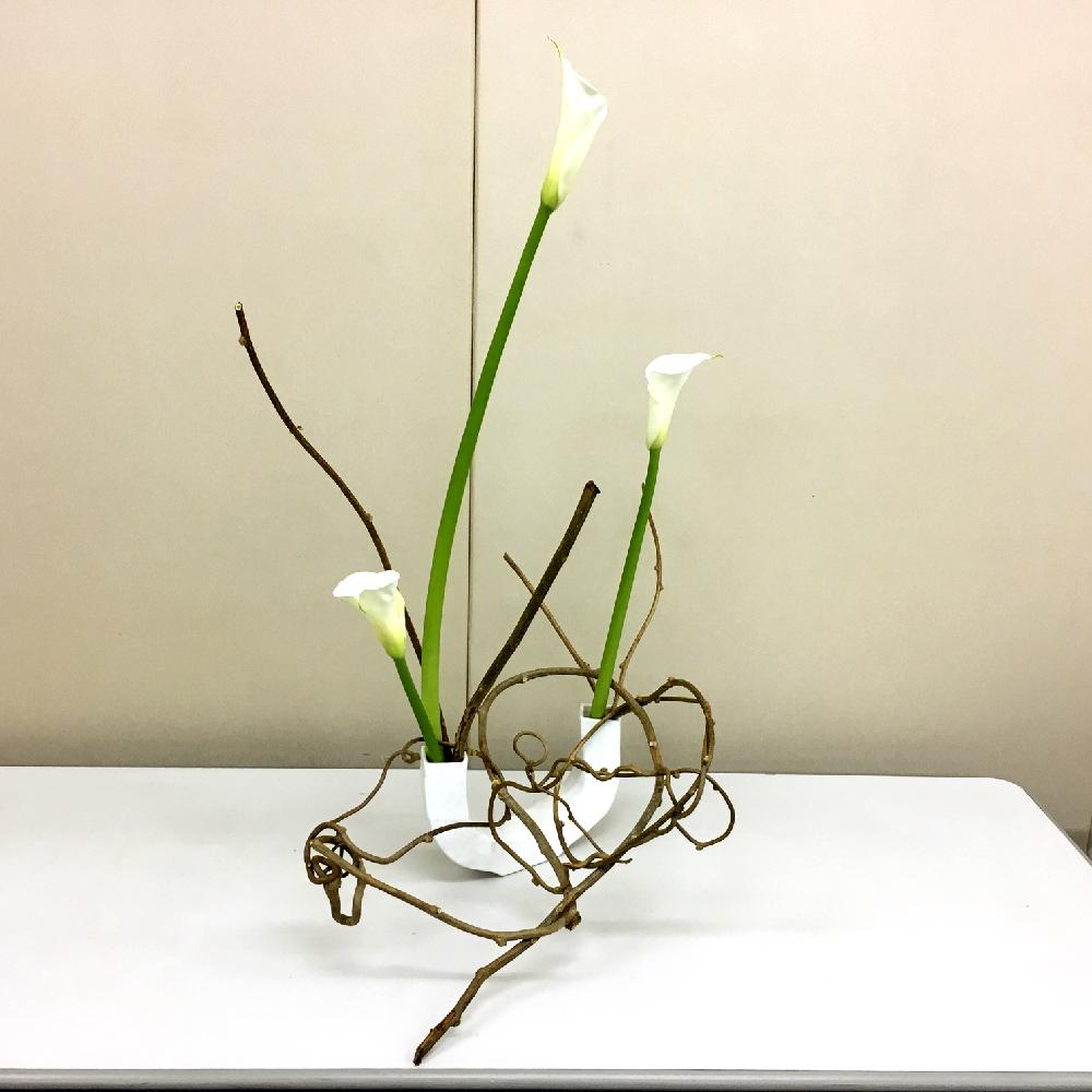 花器の投稿画像 By Apricot53さん カラー 切り花 といけばなと花のある暮らしと生け花とフラワーアレンジメント 2018月5月7日 Greensnap グリーンスナップ