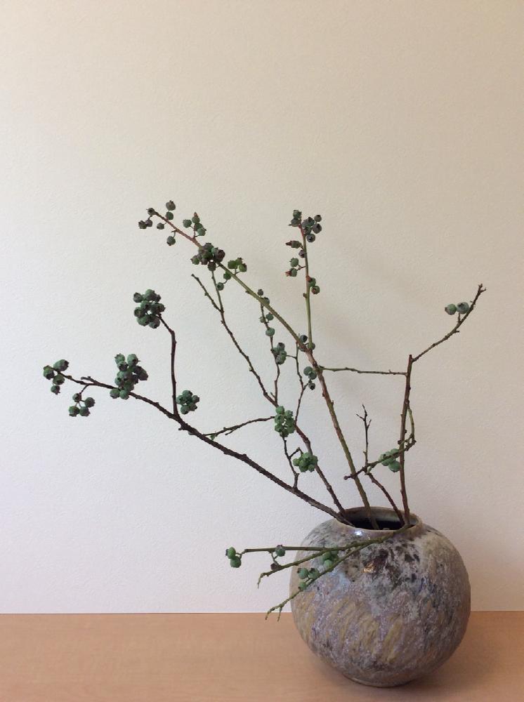 ブルーベリーの投稿画像 By Apricot53さん 花器といけばなとフラワーアレンジメントと花のある暮らしと生け花 18月5月12日 Greensnap グリーンスナップ
