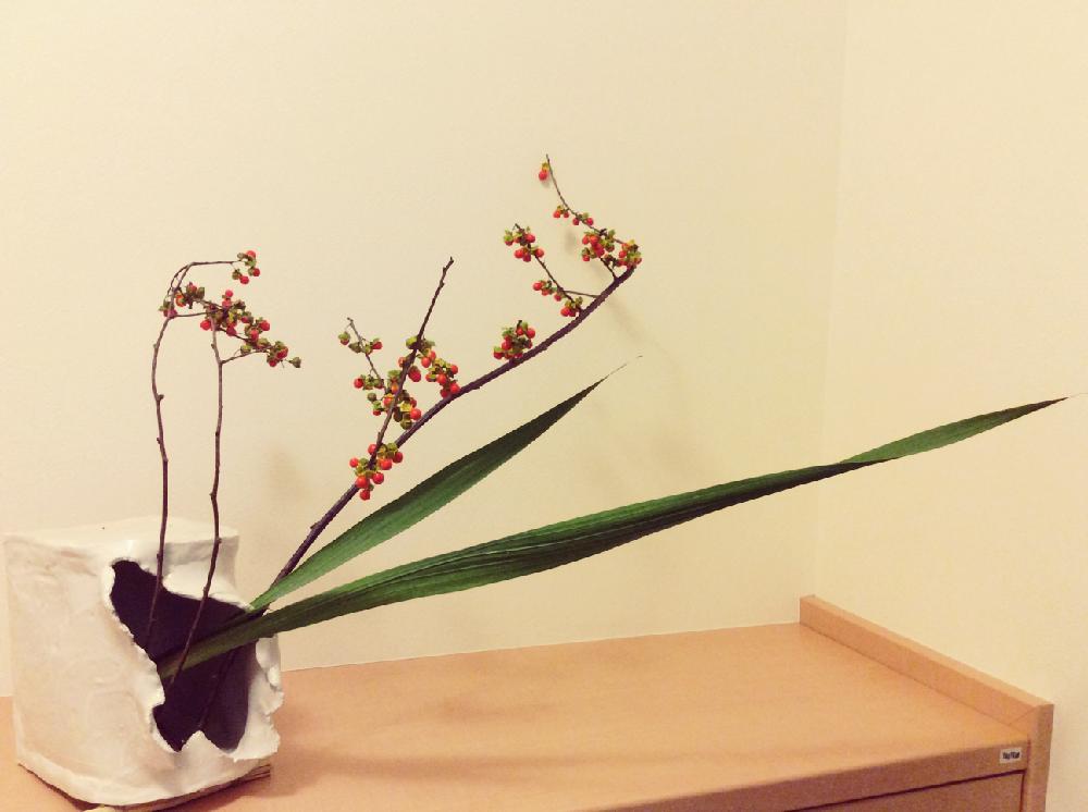ツルウメモドキの投稿画像 By Apricot53さん 花器といけばなとフラワーアレンジメントと花のある暮らしと生け花 18月5月12日 Greensnap グリーンスナップ