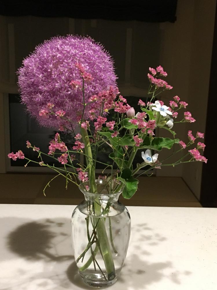 花のある暮らしの投稿画像 By Hitoyasumiさん 花瓶の花とアリウムギガンチューム 18月5月16日 Greensnap グリーンスナップ