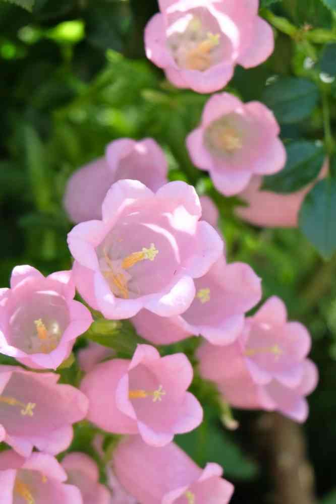 あきさんの山下公園への投稿