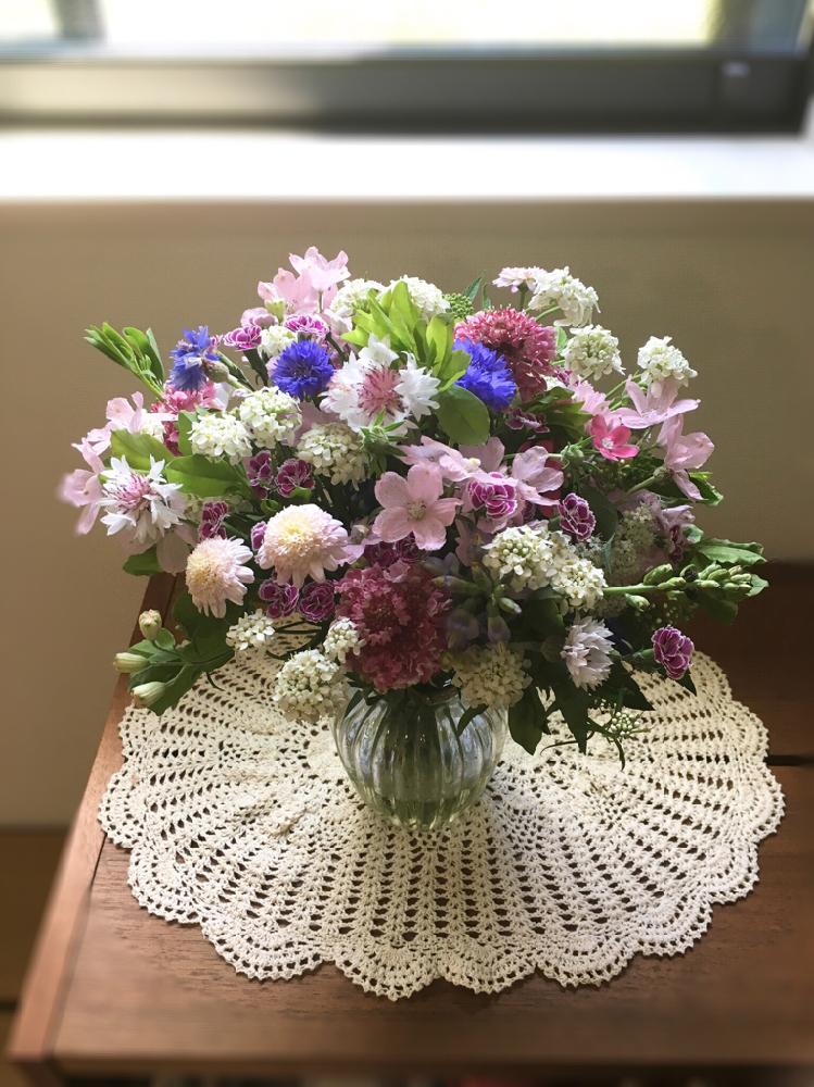 デルフィニウムの投稿画像 By Hiromiさん マーガレットとヤグルマ草とオキシペタラム ピンクスターとスカビオサとハギとイベリスとシモツケ と生花とブーケとナチュラルスタイルとフラワーアレンジメントとプレゼント用 と花のある暮らしとスマイルアレンジメントと デルフィニウムの投稿画像 By Hiromiさん マーガレットとヤグルマ草とオキシペタラム ピンクスターとスカビオサとハギとイベリスとシモツケ と生花とブーケとナチュラルスタイルとフラワーアレンジメントとプレゼント用 と花のある暮らしとスマイルアレンジメントと