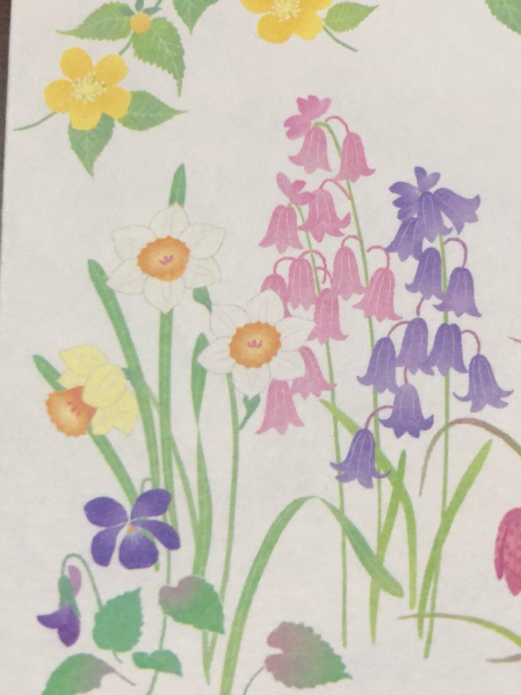 還暦祝いの投稿画像 By イングリッシュガーデンさん 植物のイラスト とその他いろいろと咲き乱れとお手紙と自宅にてといろいろあります とプレゼントと絵手紙とgs映えとgs日和と写真のセンスほしいなぁと花 のコラボと5月の写真と自宅 と晩春の花と花のある暮らしとお花