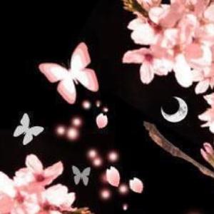 ❀夜桜蝶✩︎⡱