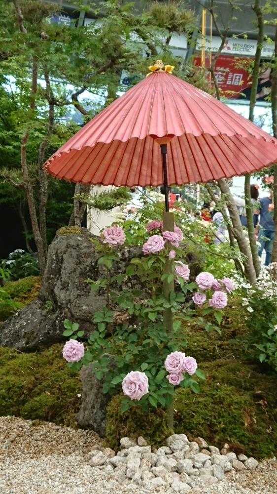 国際バラとガーデニングショウ18 Greensnap グリーンスナップ