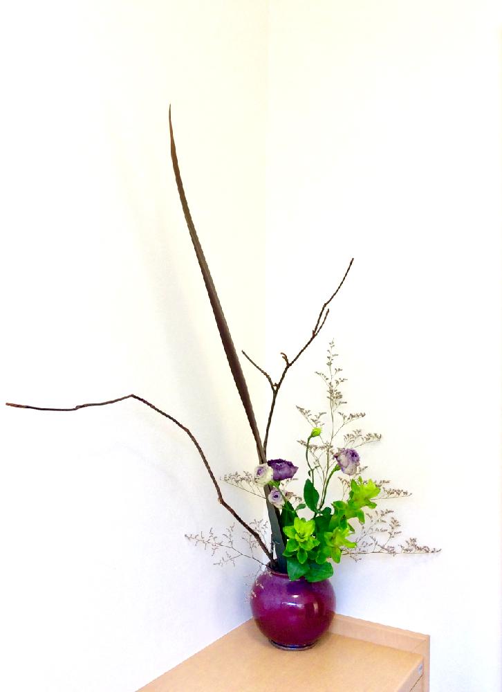 クルクマの投稿画像 By Apricot53さん 花器といけばなとフラワーアレンジメントと花のある暮らしと生け花 18月5月24日 Greensnap グリーンスナップ