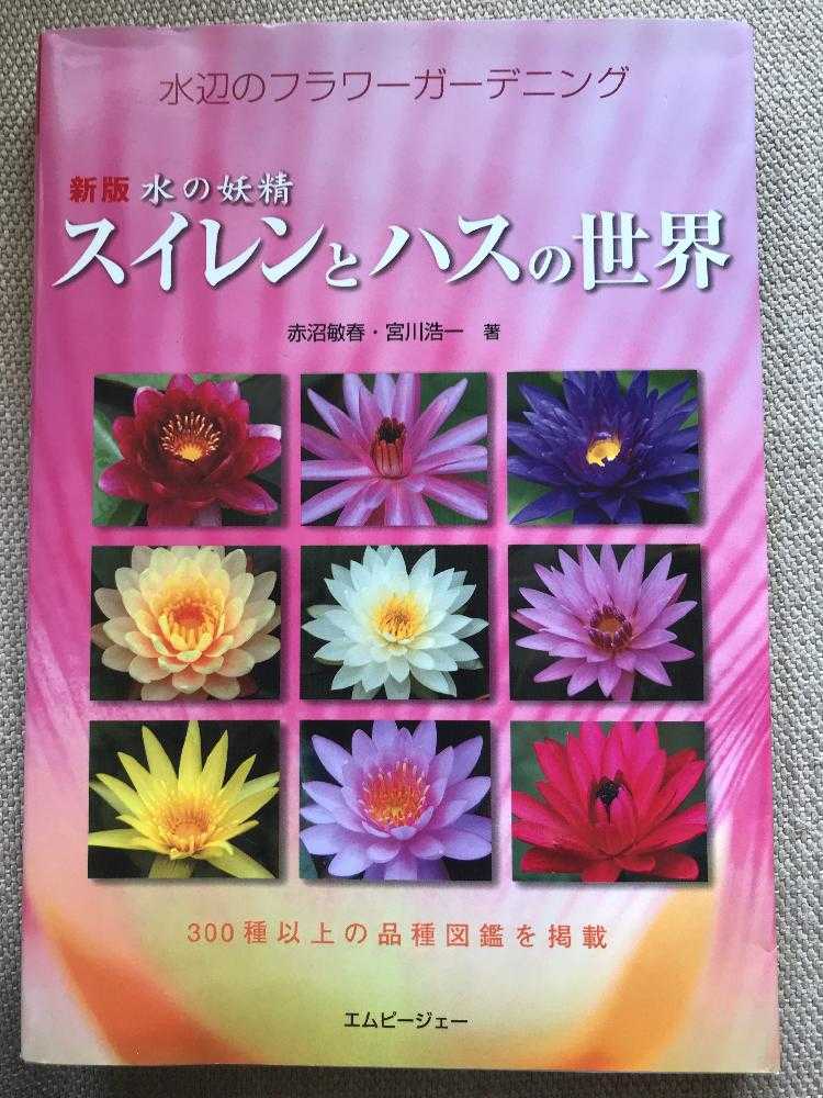 睡蓮の成長とお世話について Greensnap グリーンスナップ