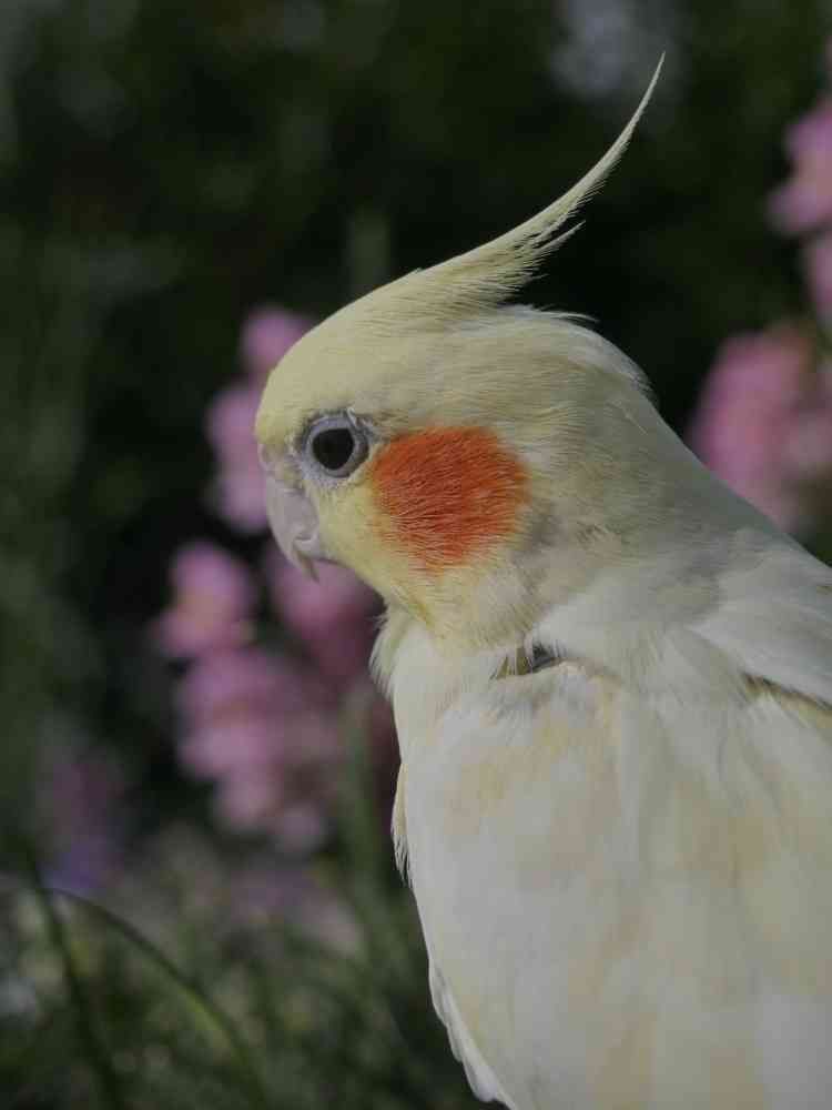 ゆず花さんの山下公園への投稿