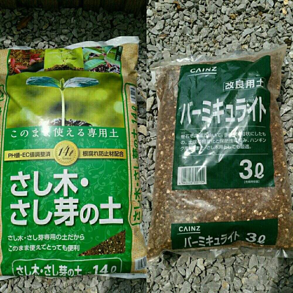 バラの挿し木 ペットボトル温室 Greensnap グリーンスナップ