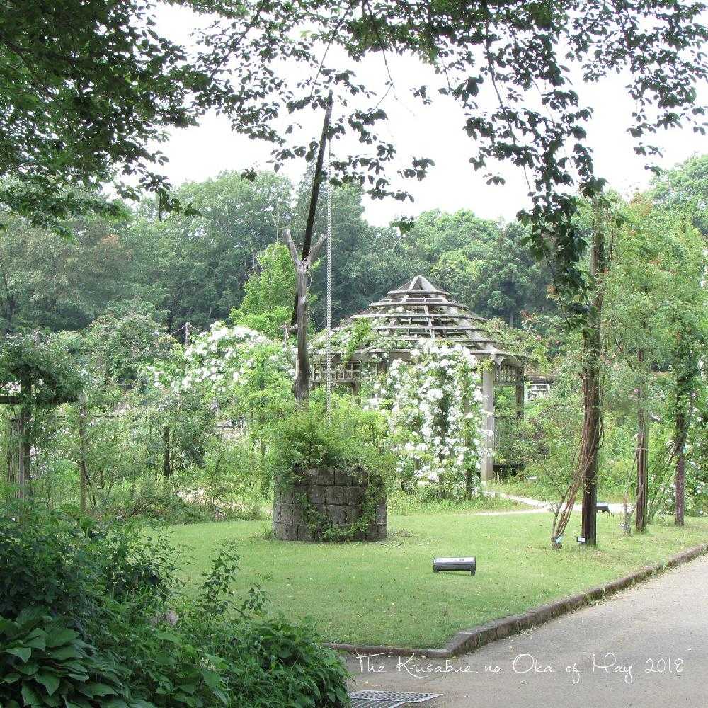 佐倉草ぶえの丘 Part 風景 Greensnap グリーンスナップ