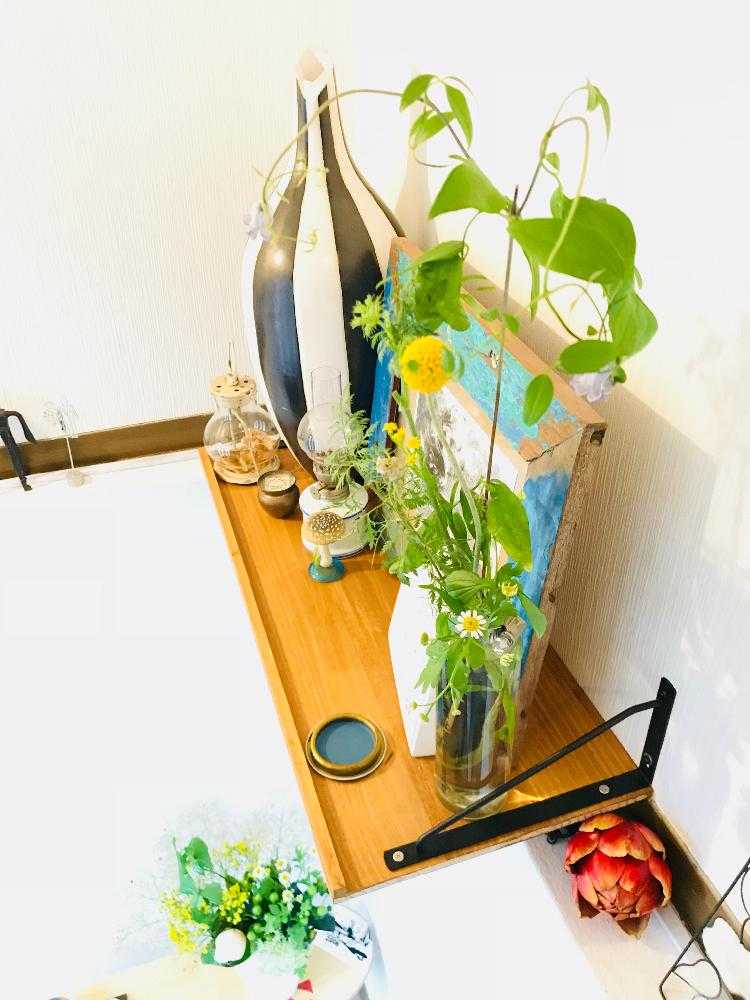 猫を避けつつ玄関から階段室の花を生け替え Greensnap グリーンスナップ 猫を避けつつ玄関から階段室の花を生け替え Greensnap グリーンスナップ