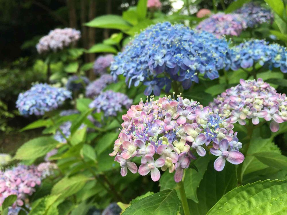 そあさんの山下公園への投稿