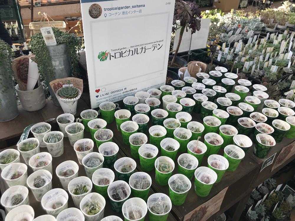 コーナンの温室 Greensnap グリーンスナップ