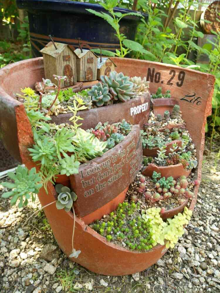 191.たまご鉢 アンティーク風 リメイク 悩ん 多肉植物 寄せ植え