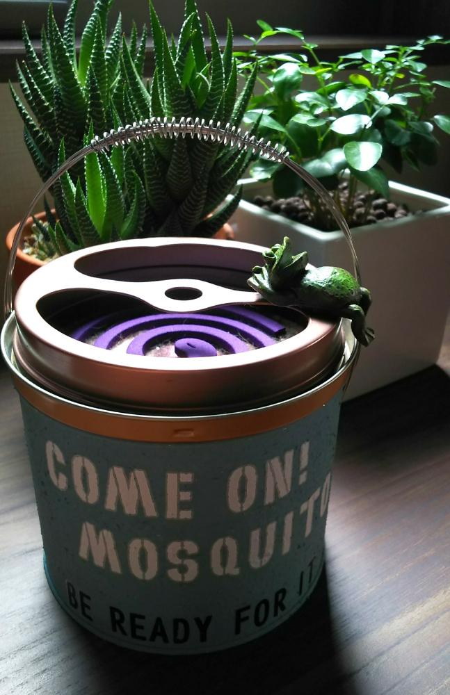 シルクジャスミンの投稿画像 By ロコさん ジュウニノマキとみどりのある暮らしとリメ缶と蚊取り線香入れとハオルシア属 と癒されると 初夏グリーンデコ コンテストとナチュラルスタイルとカエルと100均 18月6月3日 Greensnap グリーンスナップ