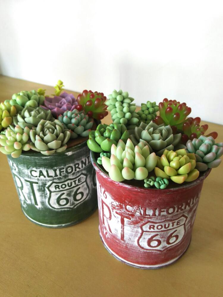 多肉植物の投稿画像 By Kekoさん リメ缶と樹脂粘土多肉と寄せ植えと100均多肉とmy Garden Style と今日の1枚とタニラーとセリアの器とガーデニングと花のある暮らしとサビサビ好きとやっぱり花が好き と0万枚記念 テーマ別記念フォトコンテスト 18月6月4日 多肉植物の投稿画像 By Kekoさん リメ缶と樹脂粘土多肉と寄せ植えと100均多肉とmy Garden Style と今日の1枚とタニラーとセリアの器とガーデニングと花のある暮らしとサビサビ好きとやっぱり花が好き と0万枚記念 テーマ別記念フォトコンテスト 18月6月4日
