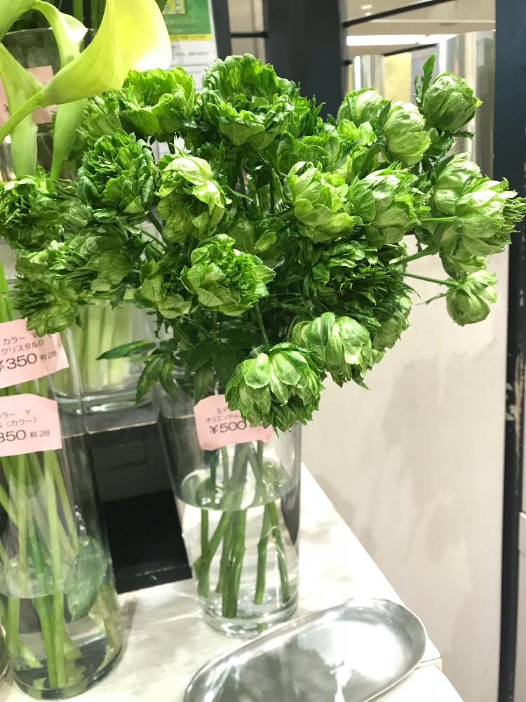 ばら バラ 薔薇の投稿画像 By Ikuchanさん オリエンタル エクレールと スプレーバラとグリーンの花と花のある暮らし 18月6月5日 Greensnap グリーンスナップ