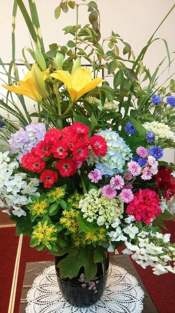 和室の投稿画像 By 松永種苗店 セメント町 さん 花瓶の花と今日の一枚と綺麗と花瓶の花と今日の一枚と綺麗 18月6月5日 Greensnap グリーンスナップ Greensnap グリーンスナップ