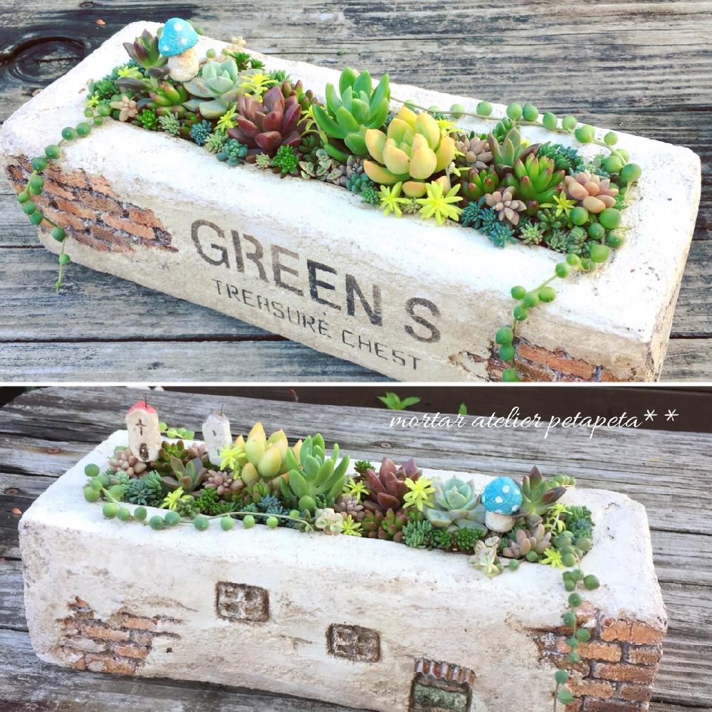 葉山有樹】染錦獅子唐草文 細密描 陶板額 額装