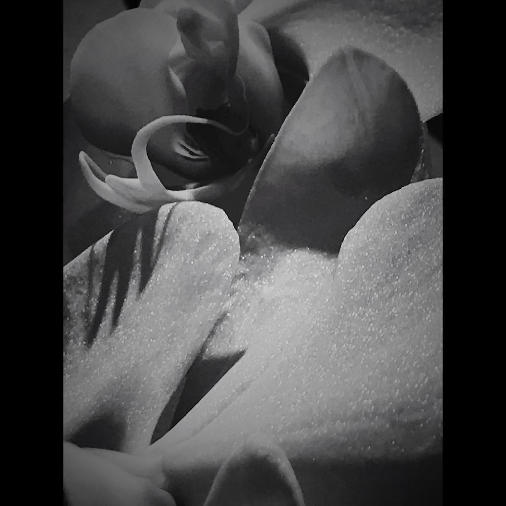 胡蝶蘭の投稿画像 By Masa Kさん エロティックと旭川とモノクロとお祝いのお花とgs映えと接写シリーズとモノクロアートと白い花と北海道とiphone撮影 18月6月6日 Greensnap グリーンスナップ
