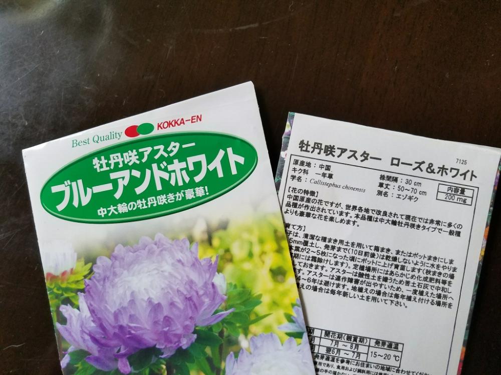 牡丹咲アスター 終了 Greensnap グリーンスナップ