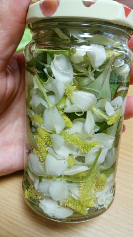 どくだみの花の投稿画像 By りこさん 花のある暮らし 18月6月9日 Greensnap グリーンスナップ どくだみの花の投稿画像 By りこさん 花のある暮らし 18月6月9日 Greensnap グリーンスナップ