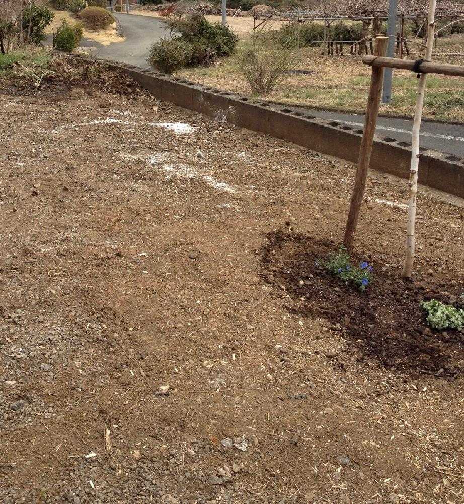 お庭のdiy自己流 Greensnap グリーンスナップ