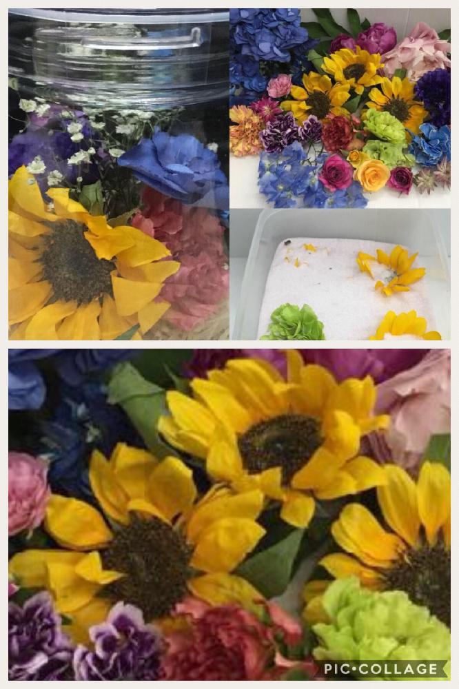 急流 銀行 軽蔑 シリカゲル カインズ 合意 音楽 幽霊