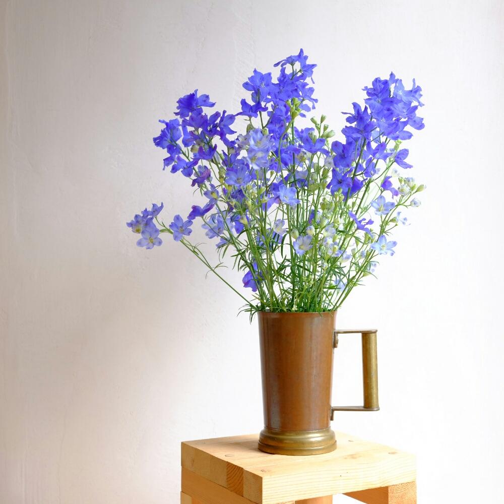 デルフィニウムの投稿画像 By ハルヒツジさん 青い花と切り花 18月6月14日 Greensnap グリーンスナップ