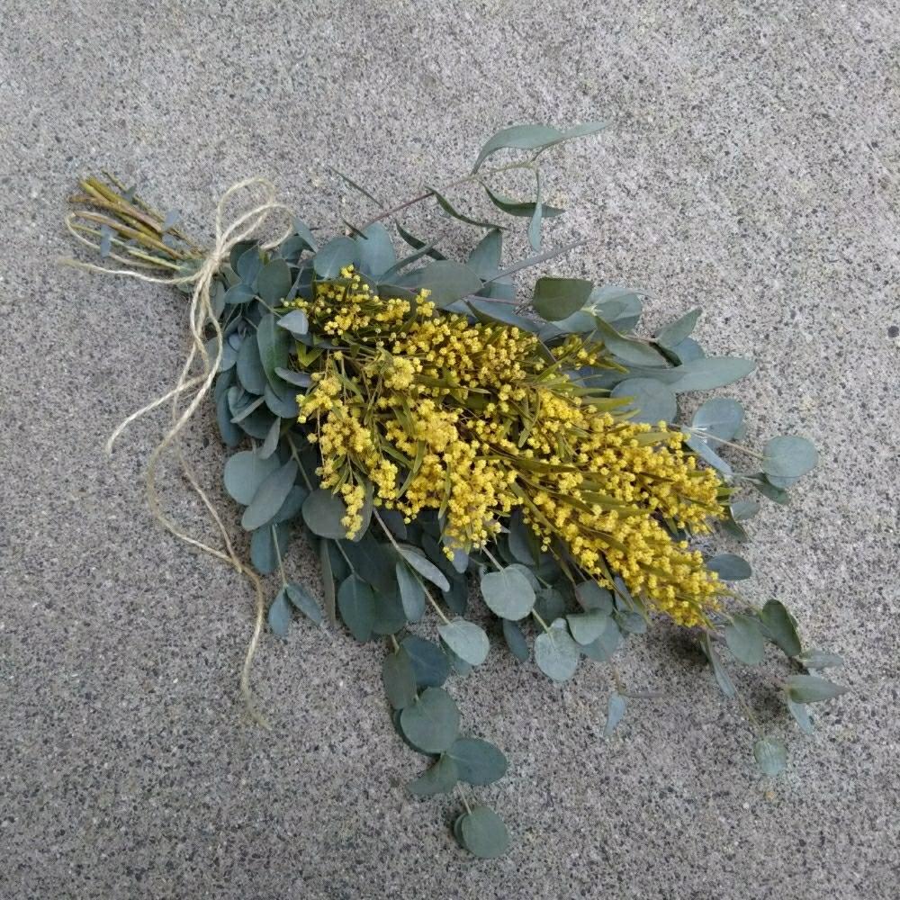 ミモザアカシアテレサの投稿画像 By Emmaさん ユーカリとナチュラルドライフラワーとドライフラワーとドライフラワーのある暮らしとスワッグと 梅雨を彩るスワッグ ブーケ フォトコンとミモザテレサとドライフラワースワッグと花のある暮らしと 切り花 18月6月15日