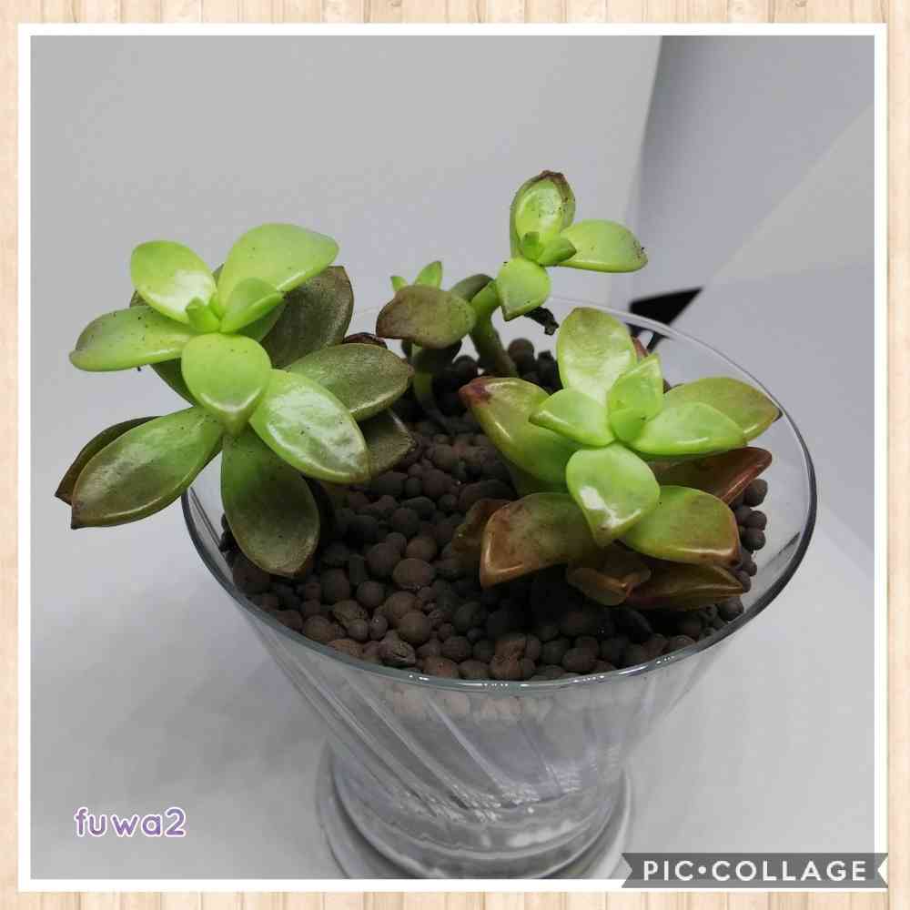 1529080008808_136660_20180616_