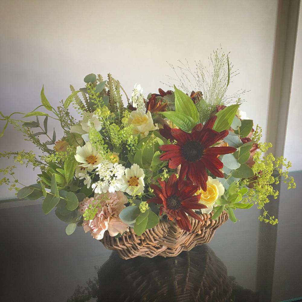 ドライフラワーの投稿画像 By Chou Chouさん プレゼントと花かごとgs映えとパニエと植物とアオモジの花 とブーケとフラワーアレンジメントとヒマワリ と花のある暮らしと切り花とバルコニストと花束 18月6月18日 Greensnap グリーンスナップ