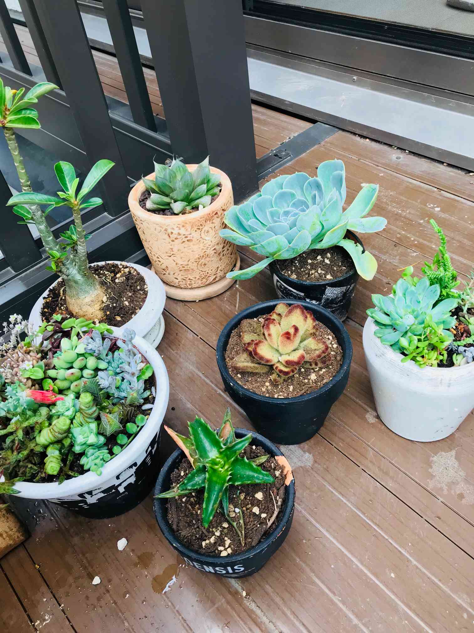 Amazon.co.jp: Happyyami 植木鉢 丸型木製プランター バレル