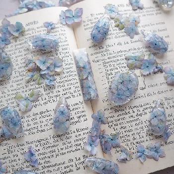 レジンアクセサリーの投稿画像一覧 Greensnap グリーンスナップ