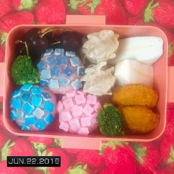 キャラ弁の投稿画像一覧 Greensnap グリーンスナップ