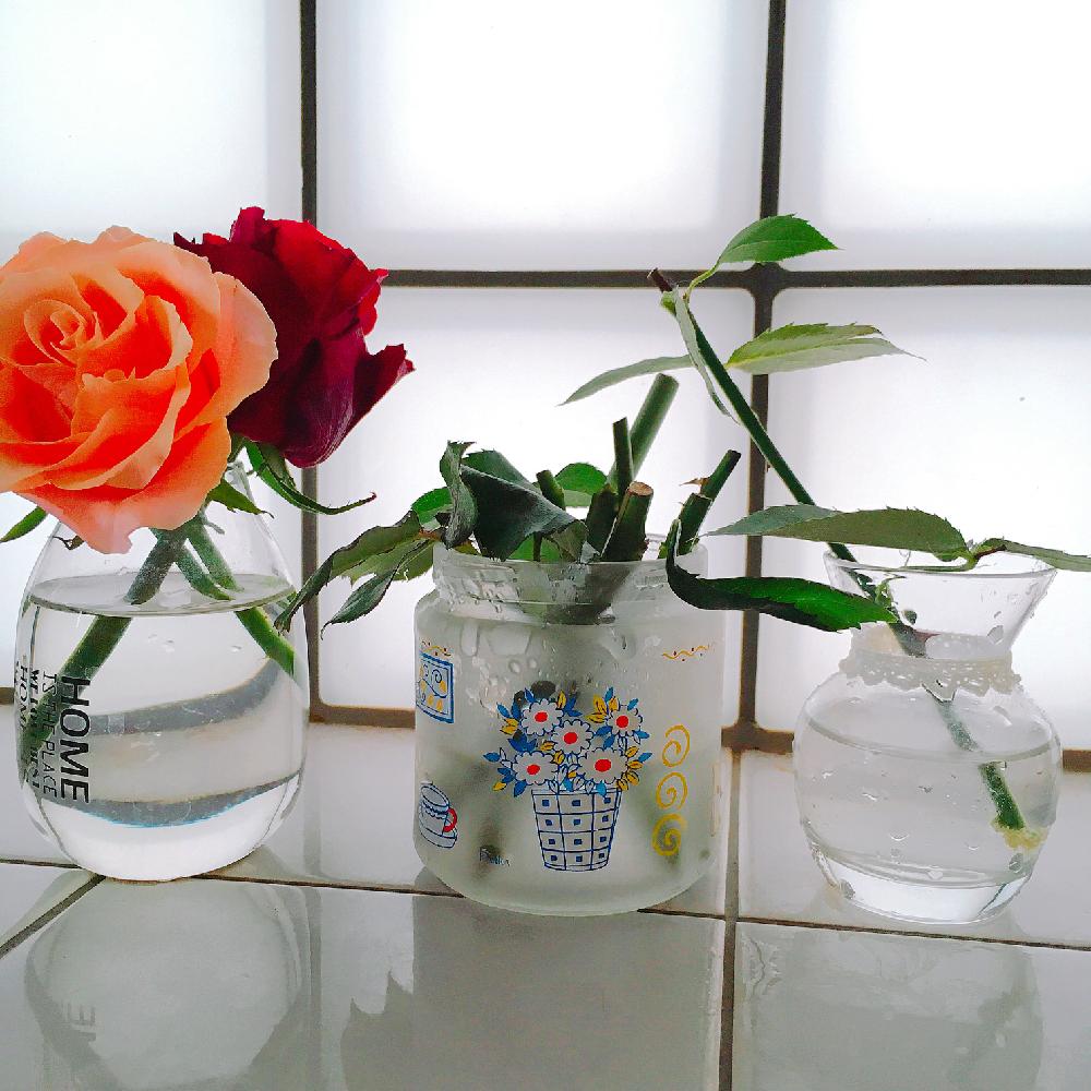 水栽培の投稿画像 By つーさん ばら バラ 薔薇とネコ好きと挿し木と花のある暮らしと切り花 18月6月22日 Greensnap グリーンスナップ