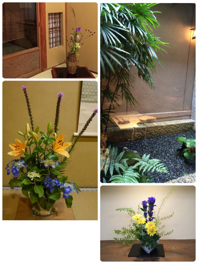 シュロ竹の投稿画像 By K Wreathさん 花器と和の坪庭と京都と花のある暮らしと生け花 18月6月22日 Greensnap グリーンスナップ