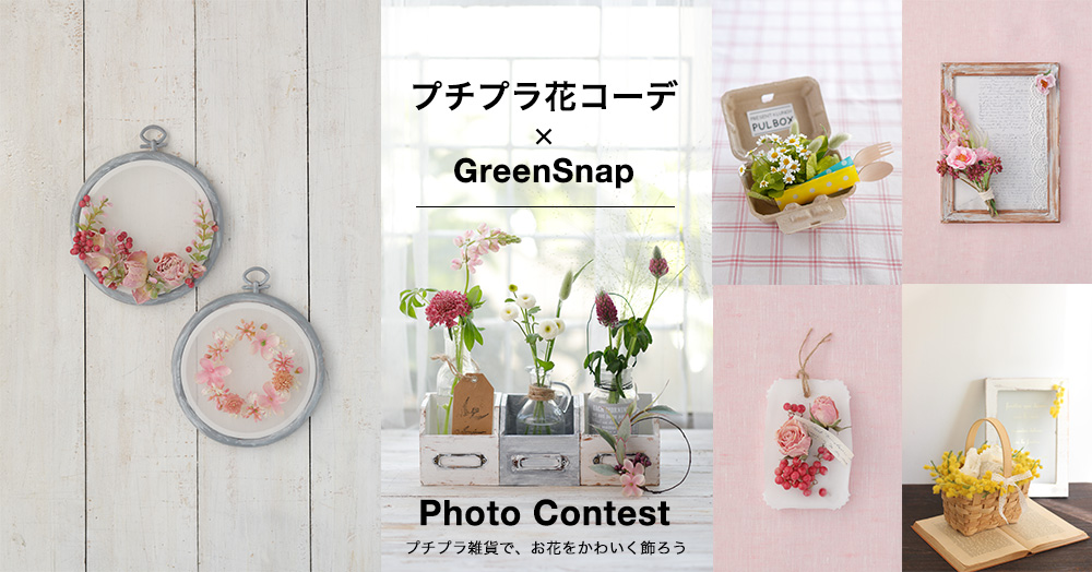 GreenSnap×プチプラ花コーデ  プチプラ雑貨で、お花をかわいく飾ろうフォトコンテスト 